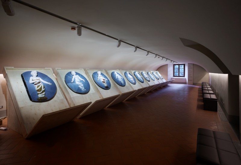LA LUCE RIVELA VERITÀ NASCOSTE