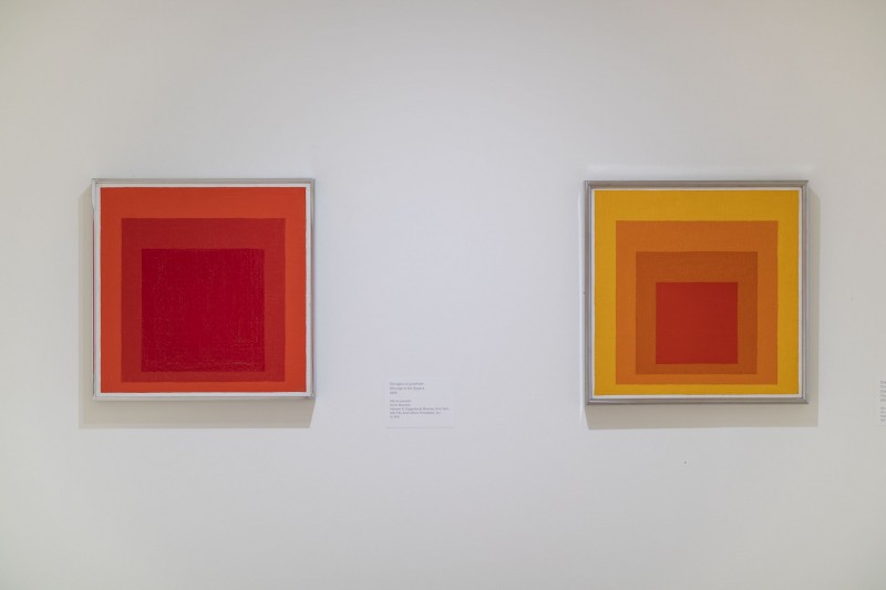 JOSEF ALBERS: UN OMAGGIO AL QUADRATO