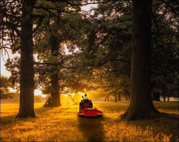 LA TECNOLOGIA SI ALLINEA ALLA NATURA