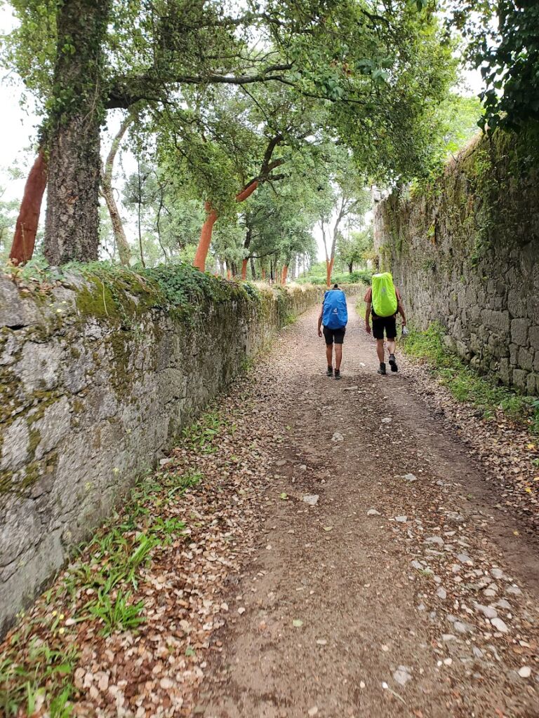 VERSO LA LUCE: LUNGO IL CAMMINO DI SANTIAGO