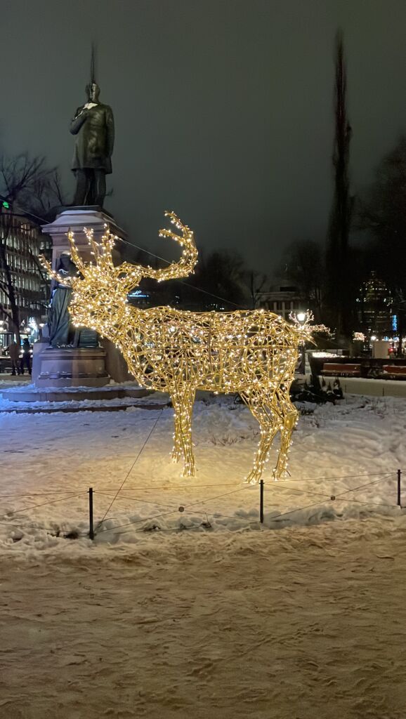 IL FREDDO SILENZIOSO NATALE FINLANDESE