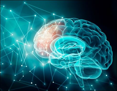 NEUROSCIENZE: COSA SONO E COME SI APPLICANO AL DESIGN